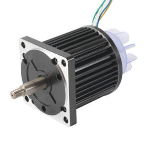 Drehmomentstarker 110mm schwanzloser Bldc-Motor der hohen Leistung